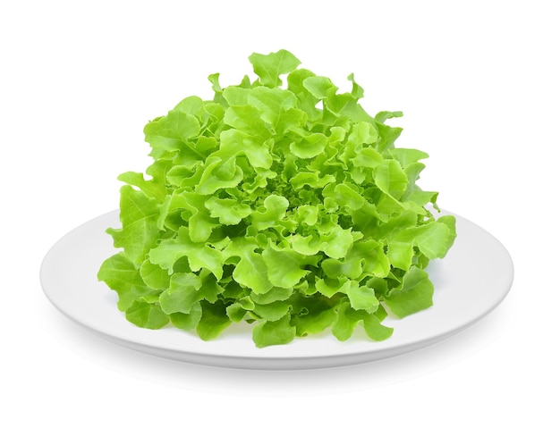 Lettuce in a plate isolated on white background