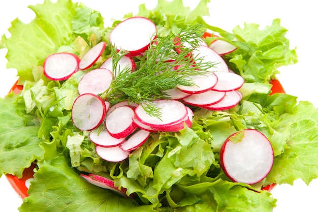 Lettuce and radishes cutting circles