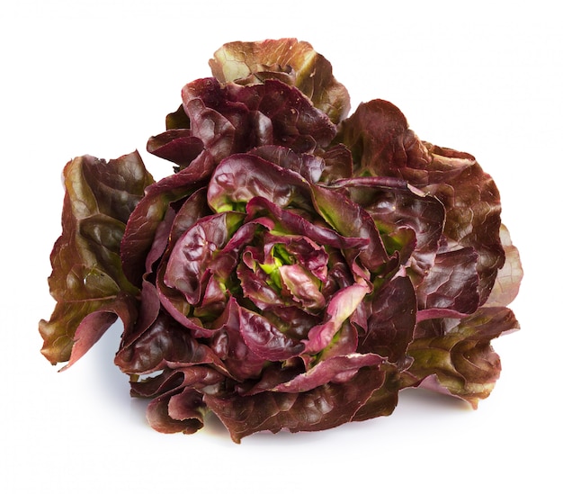 Lettuce red  