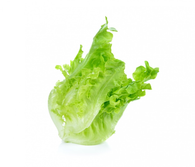 Lettuce Salad Isolated On White