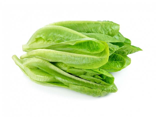 Lettuce Salad Isolated On White