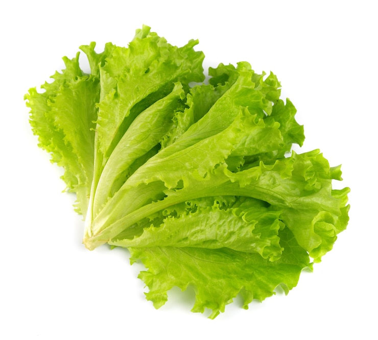 Photo lettuce salad isolated on white