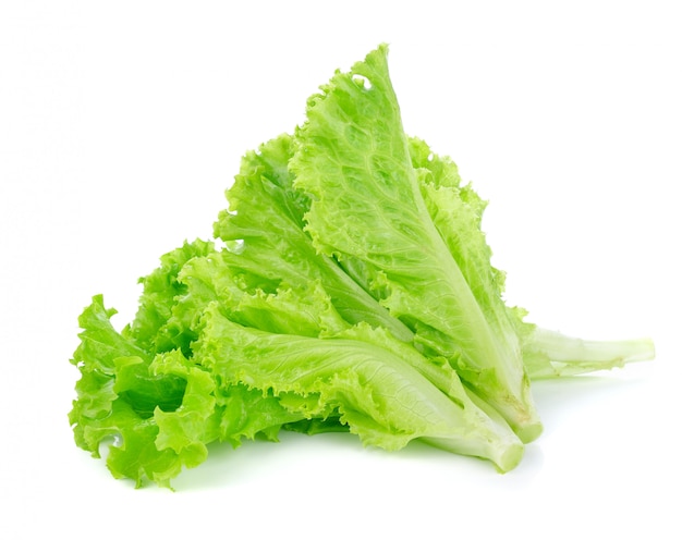 Lettuce salad isolated on white 