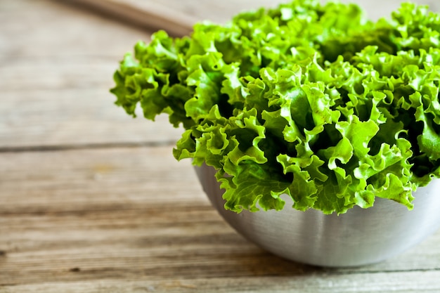 Lettuce salad in metal bowl 