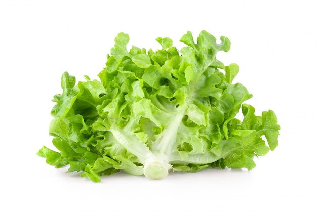 Lettuce vegatable leaves isolated