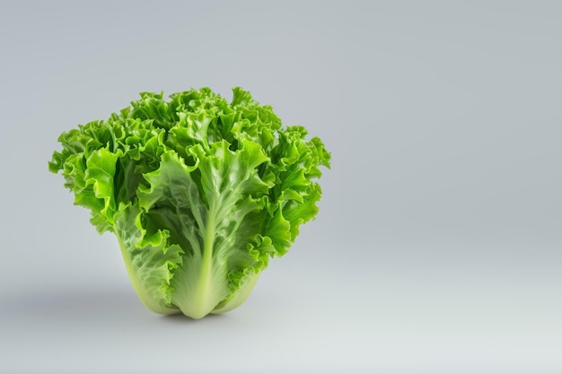 Photo lettuce white isolated background side view space for text