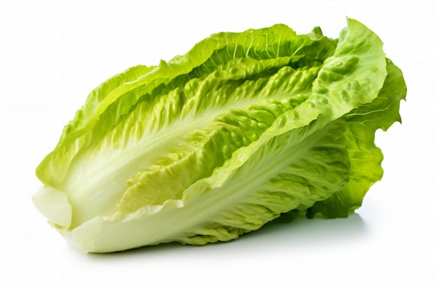 a lettuce on a white surface