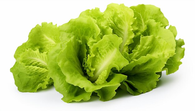 Photo lettuces isolated on white background