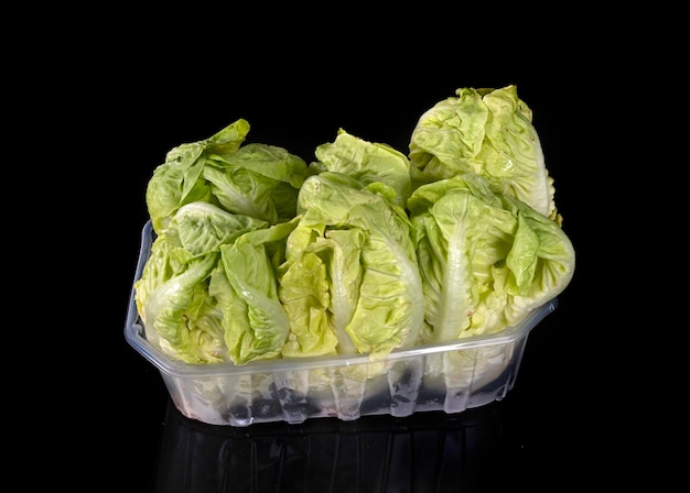 Lettuces in studio