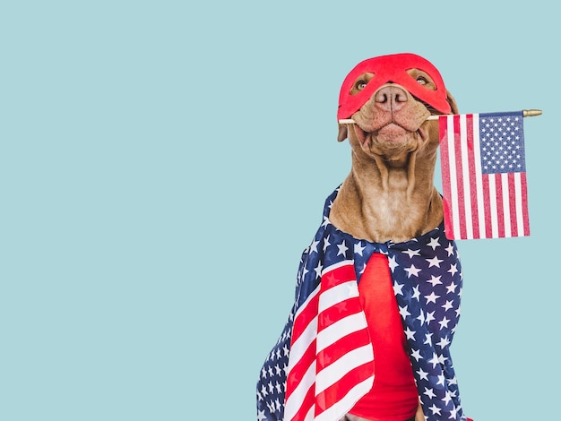 Leuk bruin puppy superheld kostuum en Amerikaanse vlag