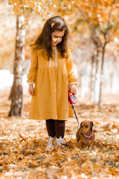 Leuk klein brunette meisje loopt in de herfst met een dachshund hond in het park