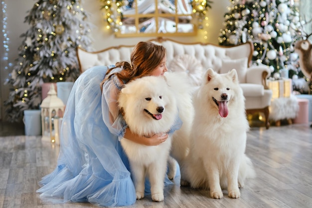 Leuk meisje in een lichtblauwe jurk met twee witte Samojeed-honden in de studio in de nieuwjaarsversieringen, tegen de achtergrond van de kerstboom