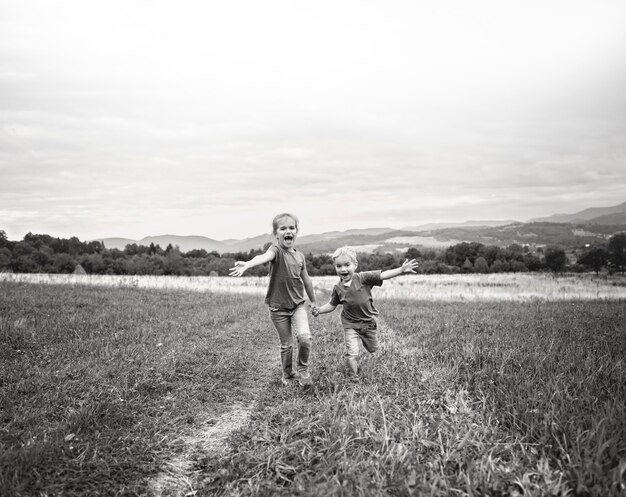 Leuk meisje met haar broer die samen in mooie weide in de bergen loopt