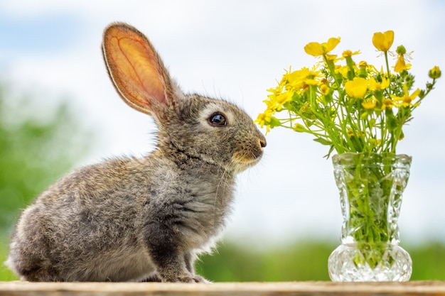 Leuk pluizig grijs konijn met een boeket van bloemen