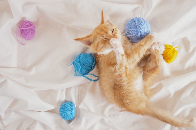 Leuk rood katje spelen met ballen van draad op wit bed bovenaanzicht