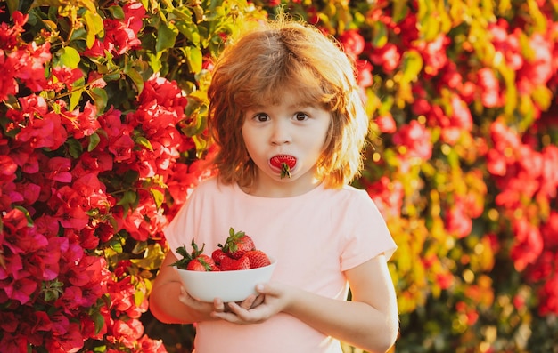 Leuk vrolijk kind eet aardbeien de schooljongen eet gezond voedsel gelukkig jeugdconcept h