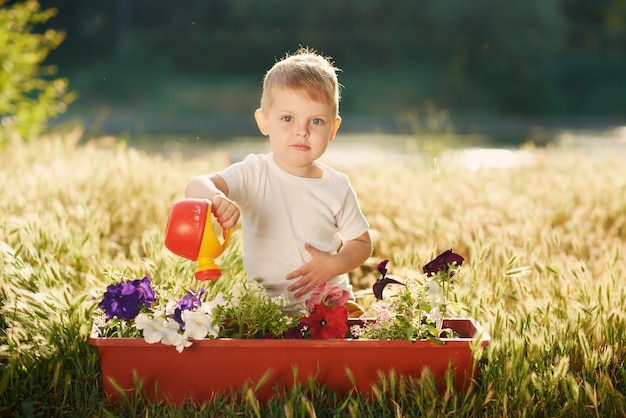 Leuk weinig het water geven van de kindjongen bloemzaailingen in een pot in de tuin op zonsondergang. Leuke kleine tuinman. Lente concept, natuur en zorg.