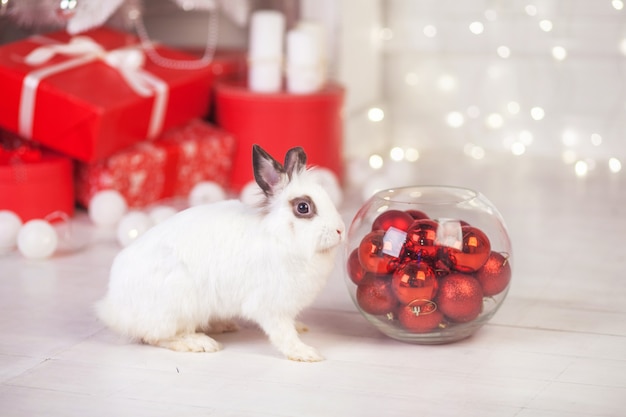 Leuk wit konijn, konijntje tegen met feestelijk versierde dennenboom. gelukkig wintervakantie concept. rode en witte kleuren