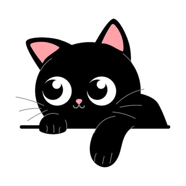 Leuk zwart kitten op een witte achtergrond