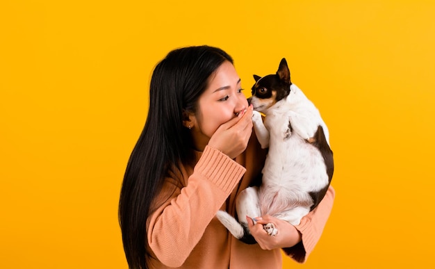 Leuke Aziatische vrouw met zijn chihuahua chihuahua hondenliefhebber Het geluk van een meisje dat van zijn hond houdt De liefde van mensen en schattige honden fotoshoot in oranje studio