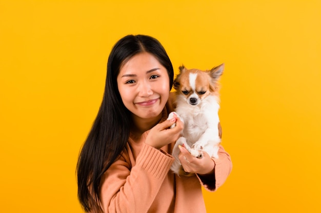 Leuke Aziatische vrouw met zijn chihuahua chihuahua hondenliefhebber Het geluk van een meisje dat van zijn hond houdt De liefde van mensen en schattige honden fotoshoot in oranje studio
