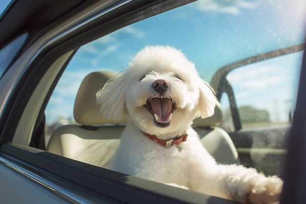 Leuke bichon frise-hond die uit autoraam AI gegenereerd kijkt