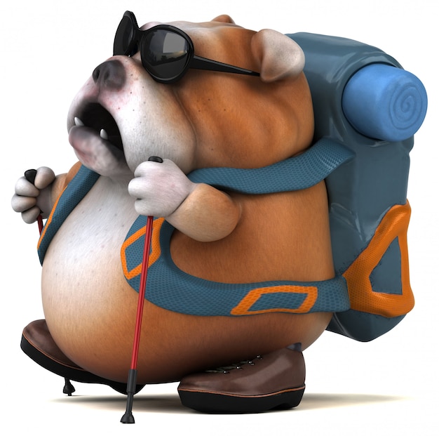 Leuke bulldog voor backpackers