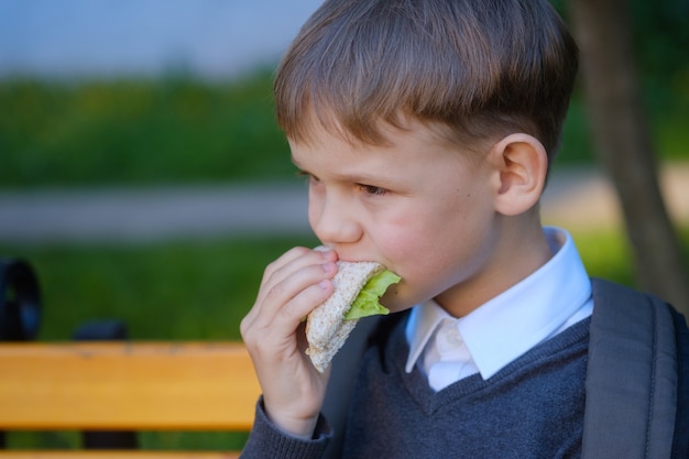 Leuke Europese jongen eet school Ontbijt op de bank na de les