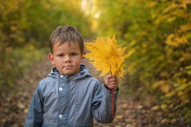 Leuke Europese jongen in de herfstpark met geel gebladerte