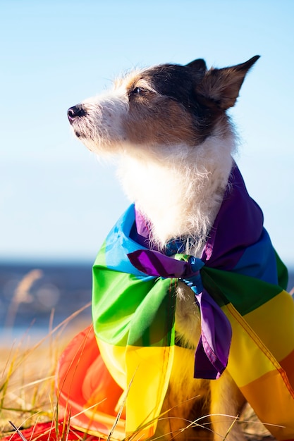 Leuke grappige hond met kleurrijke regenboog homo lgbt vlag. Trots vakantie concept. outdoor levensstijl. Verticale fotografie.