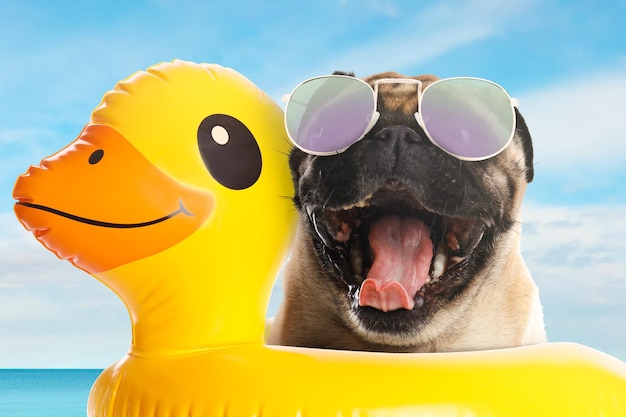 Foto leuke grappige hond met zonnebril in opblaasbare ring op huisdiervriendelijk strand