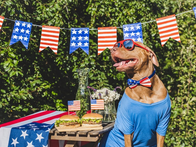 Leuke hond, Amerikaanse vlag en twee heerlijke hamburgers.