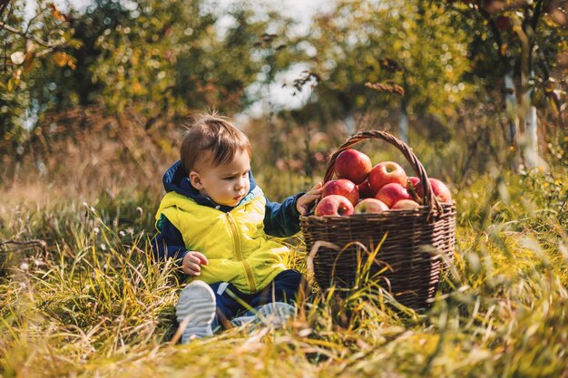 Leuke jongen met appels in de tuin zitten Organische herfst landbouw kleine jongen