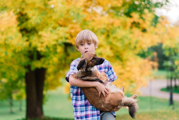 Leuke jongen spelen en wandelen met zijn hond in de wei