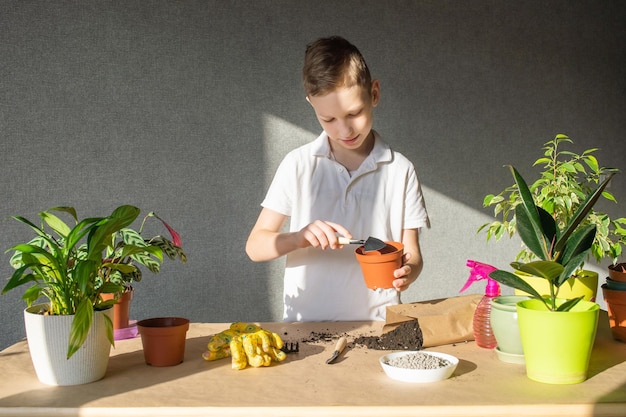 Leuke jongen zorgt voor binnenbloemen die een bloem in een lege pot verplanten