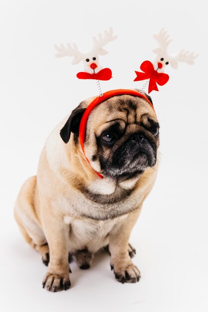 Leuke kerstmug in witte en rode hoofdband