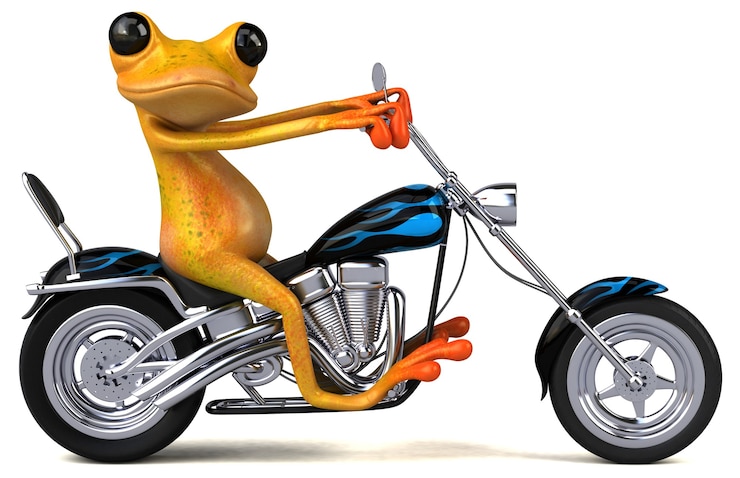 Foto leuke kikker - 3d illustratie