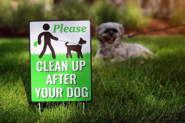 Foto leuke kleine hond buiten het waarschuwingsbord schoonmaken na je hond