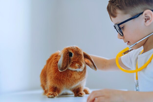 Foto leuke kleine jongen die dierenarts speelt met een stethoscoop op een konijn.