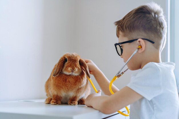 Leuke kleine jongen die dierenarts speelt met een stethoscoop op een konijn.