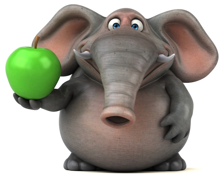 Foto leuke olifant - 3d illustratie