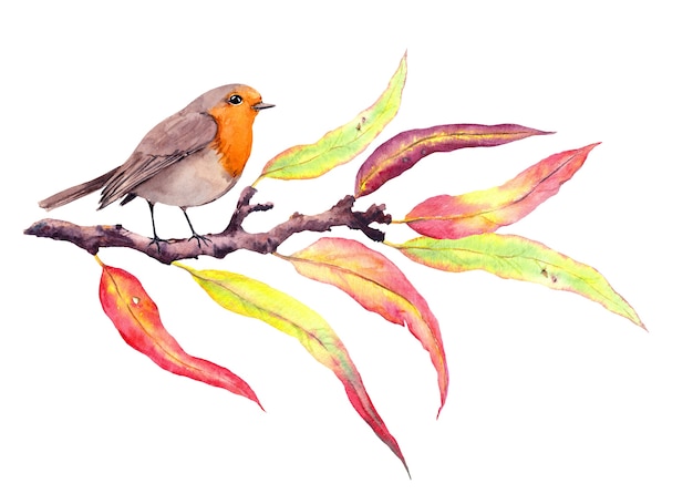 Leuke Robin-vogel bij de herfsttak, abstracte bladeren.