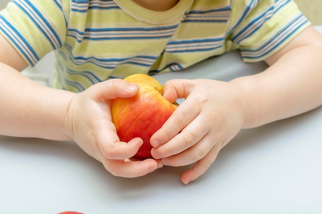 Leuke schattige kleine peuter baby kinderen handen houden appels jongen geniet zitten in de stoel leren eten gezonde vruchten thuis keuken kinderen gezonde voeding voeding dieet concept