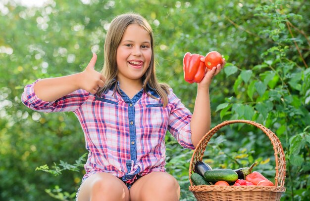 Leuke smaak gezonde voeding voor kinderen oogst vitamine lente markt tuin klein meisje groenten in mandje alleen natuurlijk kind op de zomerboerderij biologisch voedsel gelukkige kleine boer herfst oogst