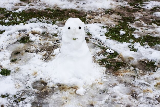 Leuke sneeuwpop op landelijke werf.