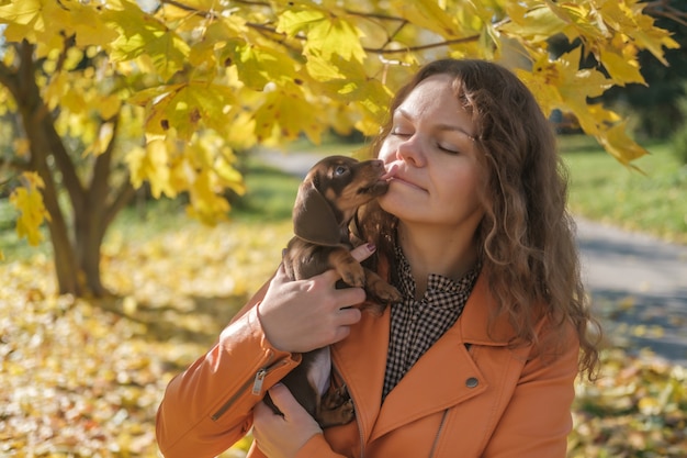 Leuke teckelpuppy die zijn minnares in de herfstpark kust