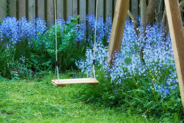 Leuke tuinschommel met gewone boshyacinten die groeien en bloeien op groene stengels in een afgelegen privé-achtertuin Getextureerde detailweergave van bloeiende blauwe kent-klokken of klokjesbloemen die bloeien