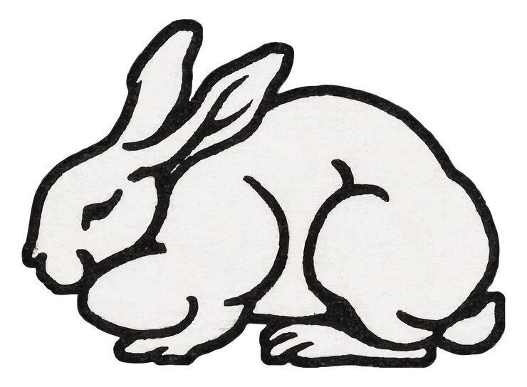 Foto leuke vintage konijn png sticker met de hand getekend