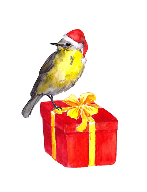 Leuke vogel - rode kerstmuts. Kerstcadeau doos