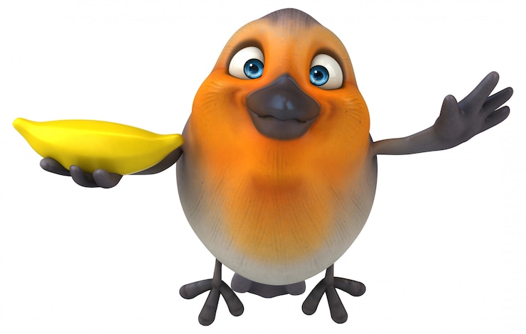 Foto leuke vogel